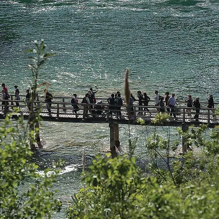 Gorgeous In Danilo With Wifi Protega