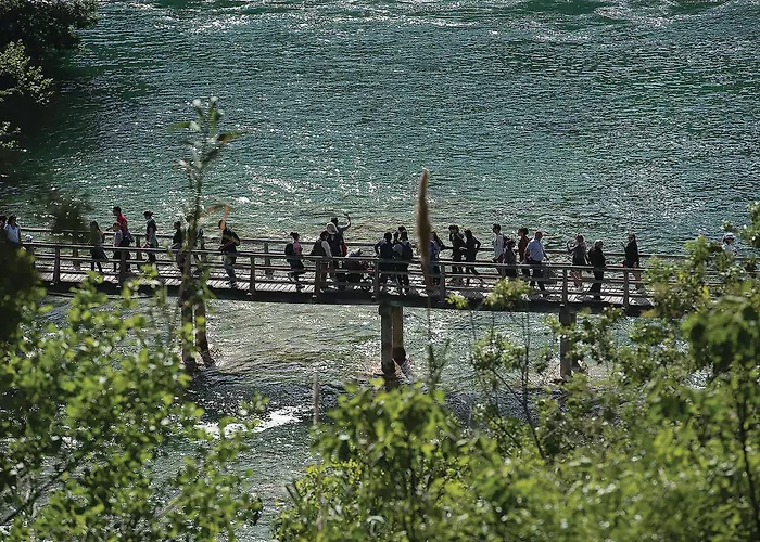 Gorgeous In Danilo With Wifi Protega